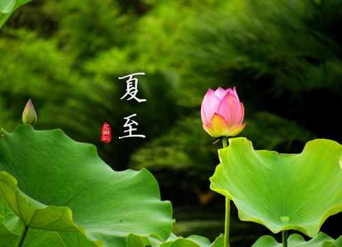 【今日夏至】荷風(fēng)送香氣，南方迎高溫