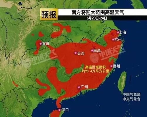 荷風送香氣，南方迎高溫